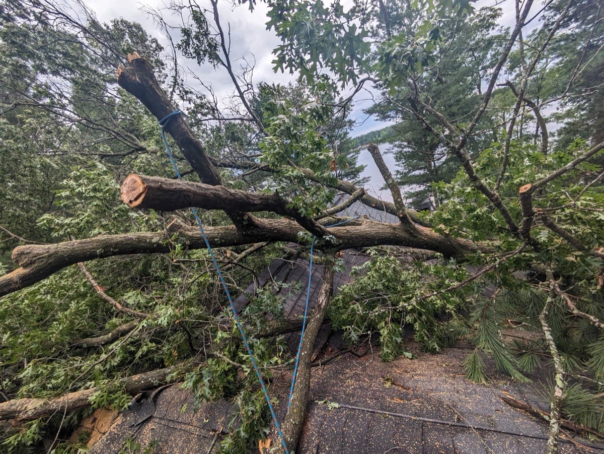 Storm-damaged tree removal from a residential roof
