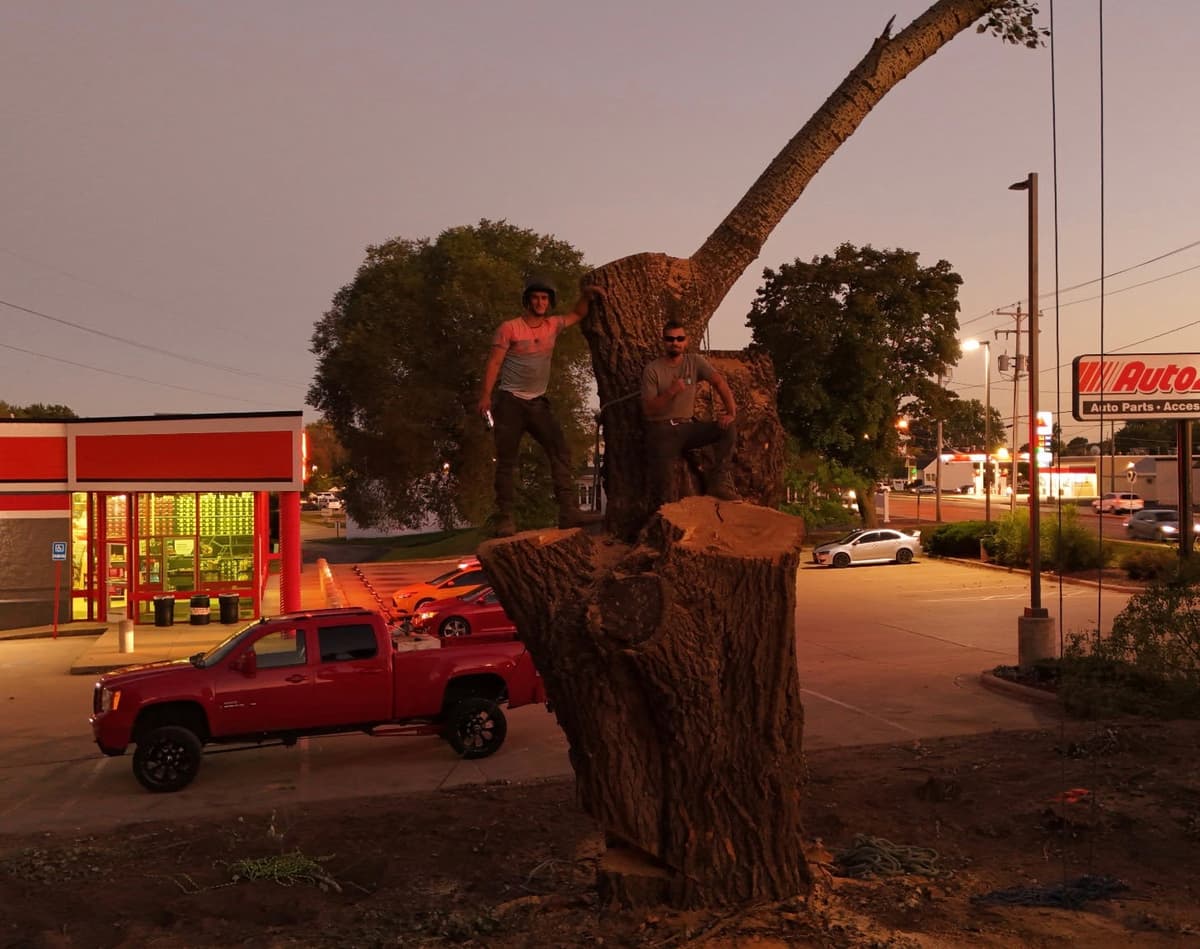 Mal and Jason — Grimm's Tree Services crew