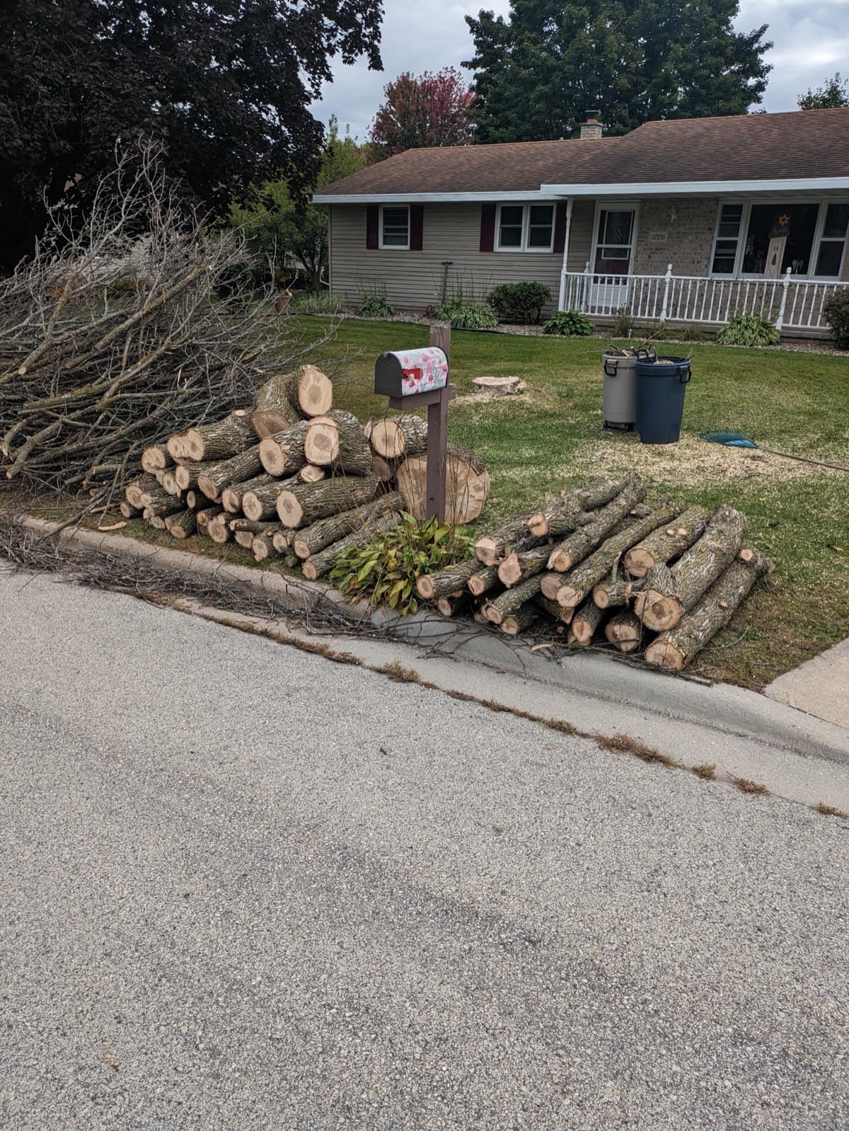 Cut logs stacked neatly at the curb after tree removal